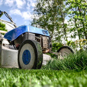 Lawn & Yard Maintenance